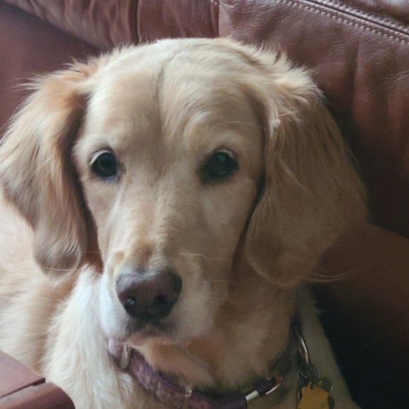 Meet your Posher, Shakeila - Picture 2 of 10